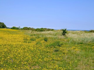 Holiday house Gedesby  9