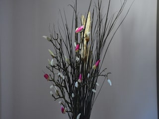 Apartment Trois-Ponts  27