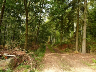 Apartment Trois-Ponts Umgebung 31