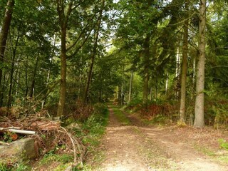 Apartment Trois-Ponts Umgebung 32