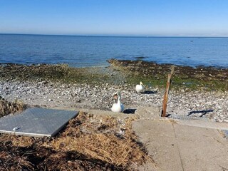 Casa per le vacanze Brenderup  32