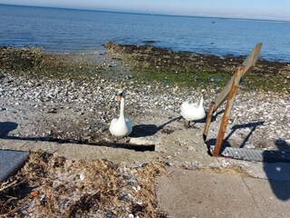 Casa per le vacanze Brenderup  39