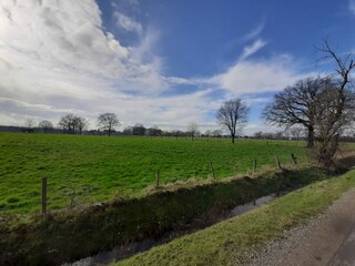 Vakantiehuisje Peer Omgeving 27