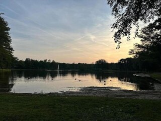 Vakantiehuisje Peer Omgeving 26