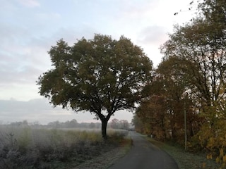Landhaus Peer Umgebung 36