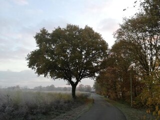 Vakantiehuisje Peer Omgeving 36