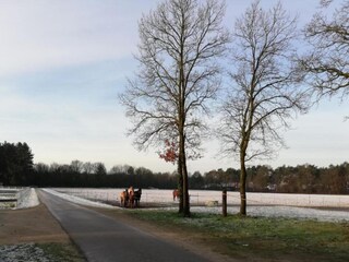 Vakantiehuisje Peer Omgeving 28