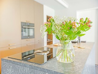 Type de propriété : Ferme Zelhem  29