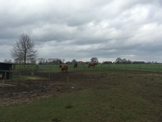 Type de propriété : Ferme Zelhem Environnement 23