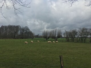 Boerderij Zelhem Omgeving 24