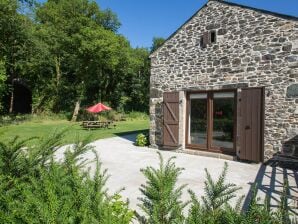 Modernes Ferienhaus in Tavistock mit Garten - Tavistock - image1