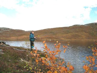 Maison de vacances Ballangen  6