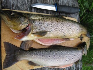 Casa de vacaciones Ballangen  16