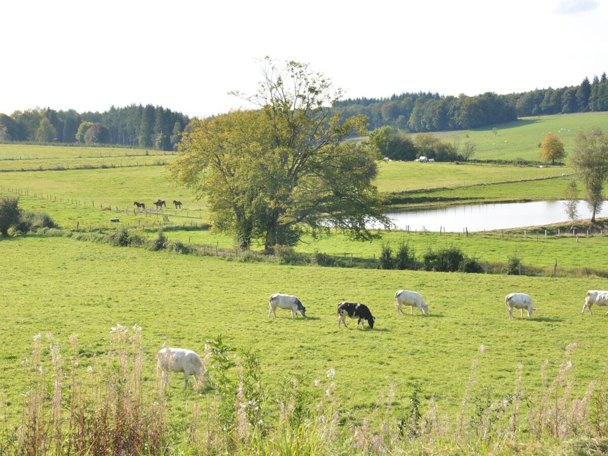 Ferienhaus Vresse-sur-Semois Umgebung 28