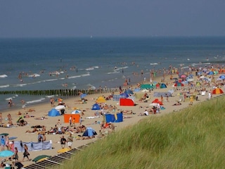Vakantiehuis Domburg Omgeving 24