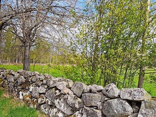 Casa de vacaciones Tingsryd Grabación al aire libre 4