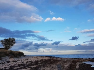 Casa de vacaciones Vaeggerløse  30