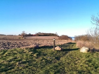 Ferienhaus Vaeggerløse  35