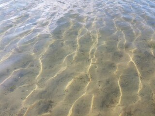 Maison de vacances Vaeggerløse  36