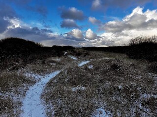 Appartement Skagen  22
