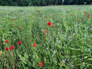 Vakantiehuis Hjarbæk  13