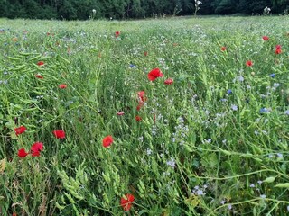 Maison de vacances Hjarbæk  34