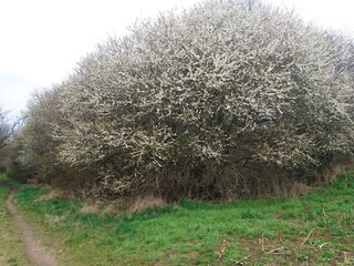 Casa per le vacanze Hjarbæk  28