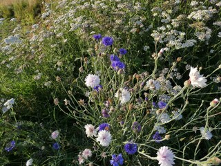 Casa per le vacanze Hjarbæk  36