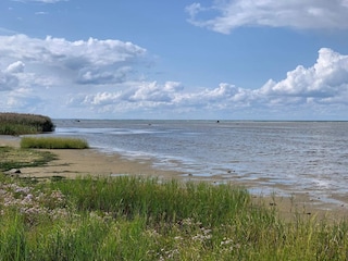 Ferienhaus Fjellerup Strand  15