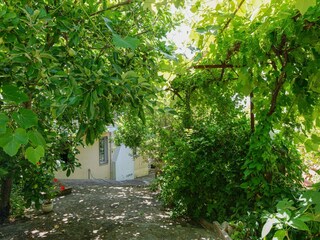Maison de vacances Nafpaktos Équipement 10