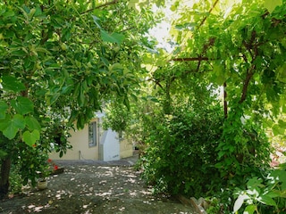 Vakantiehuis Nafpaktos Kenmerken 10