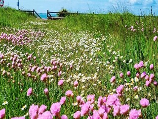 Vakantiehuis Kelstrup Strand  32