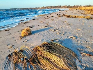 Maison de vacances Kelstrup Strand  14