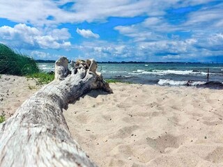 Casa per le vacanze Kelstrup Strand  17