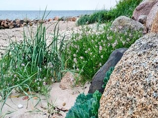 Ferienhaus Kelstrup Strand  39