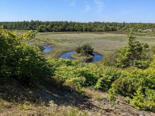 Casa per le vacanze Vorupør  31