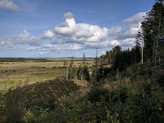 Vakantiehuis Vorupør  21