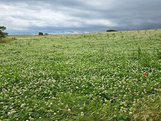 Holiday house Reersø  11