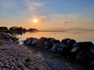 Ferienhaus Reersø  10