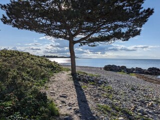 Maison de vacances Reersø  47