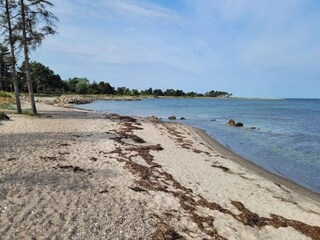 Ferienhaus Reersø  16
