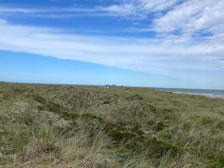Ferienhaus Læsø  13