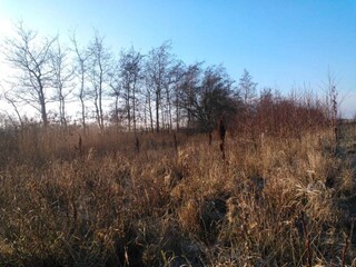 Maison de vacances Bjerge Strand  37