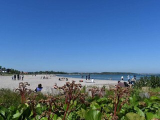 Ferienhaus Bjerge Strand  8