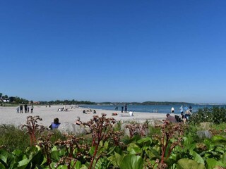 Vakantiehuis Bjerge Strand  41