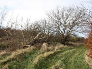 Vakantiehuis Bjerge Strand  9