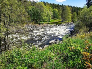 Vakantiehuis Bengtsfors  23