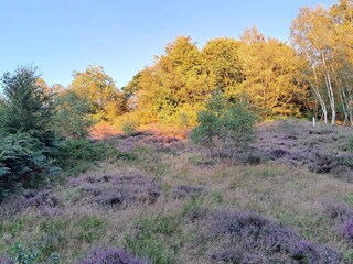 Maison de vacances Gjern  28