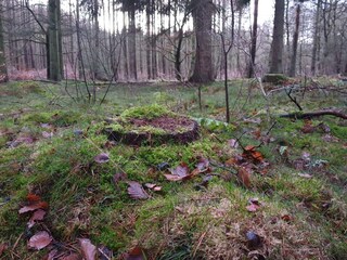 Ferienhaus Gjern  31