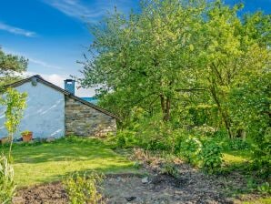 Ferienhaus Faszinierende Hütte in Vielsalm in der Nähe des Waldes - Vielsalm - image1